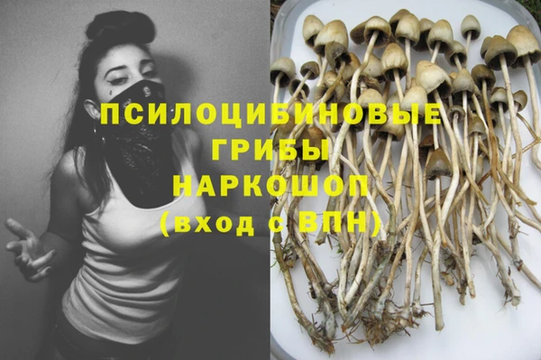 скорость Бородино