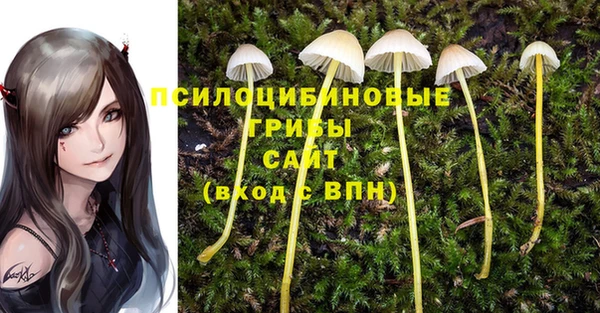 гашик Бугульма