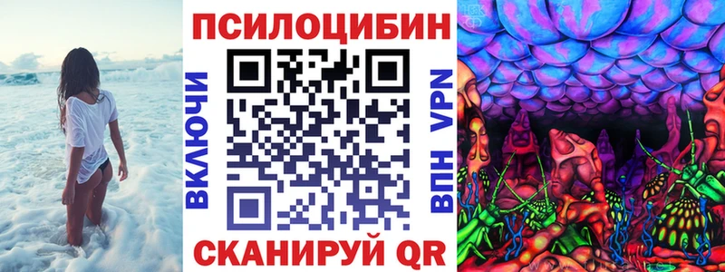 блэк спрут   Пушкино  Галлюциногенные грибы GOLDEN TEACHER 